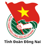 TinhDoanDN